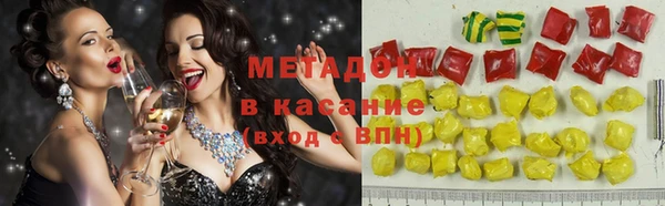 прущие грибы Белокуриха