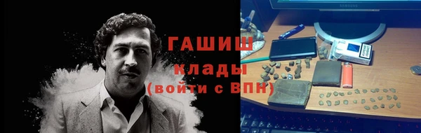 прущие грибы Белокуриха