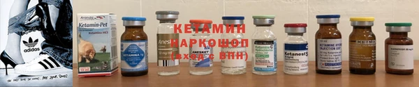 прущие грибы Белокуриха