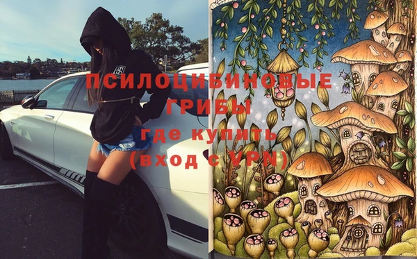 прущие грибы Белокуриха