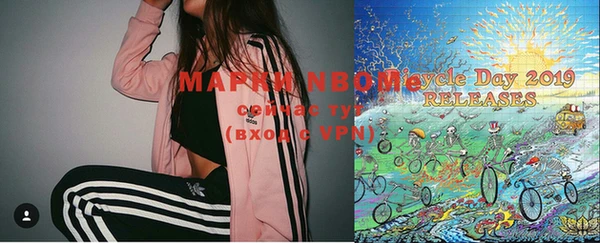 прущие грибы Белокуриха